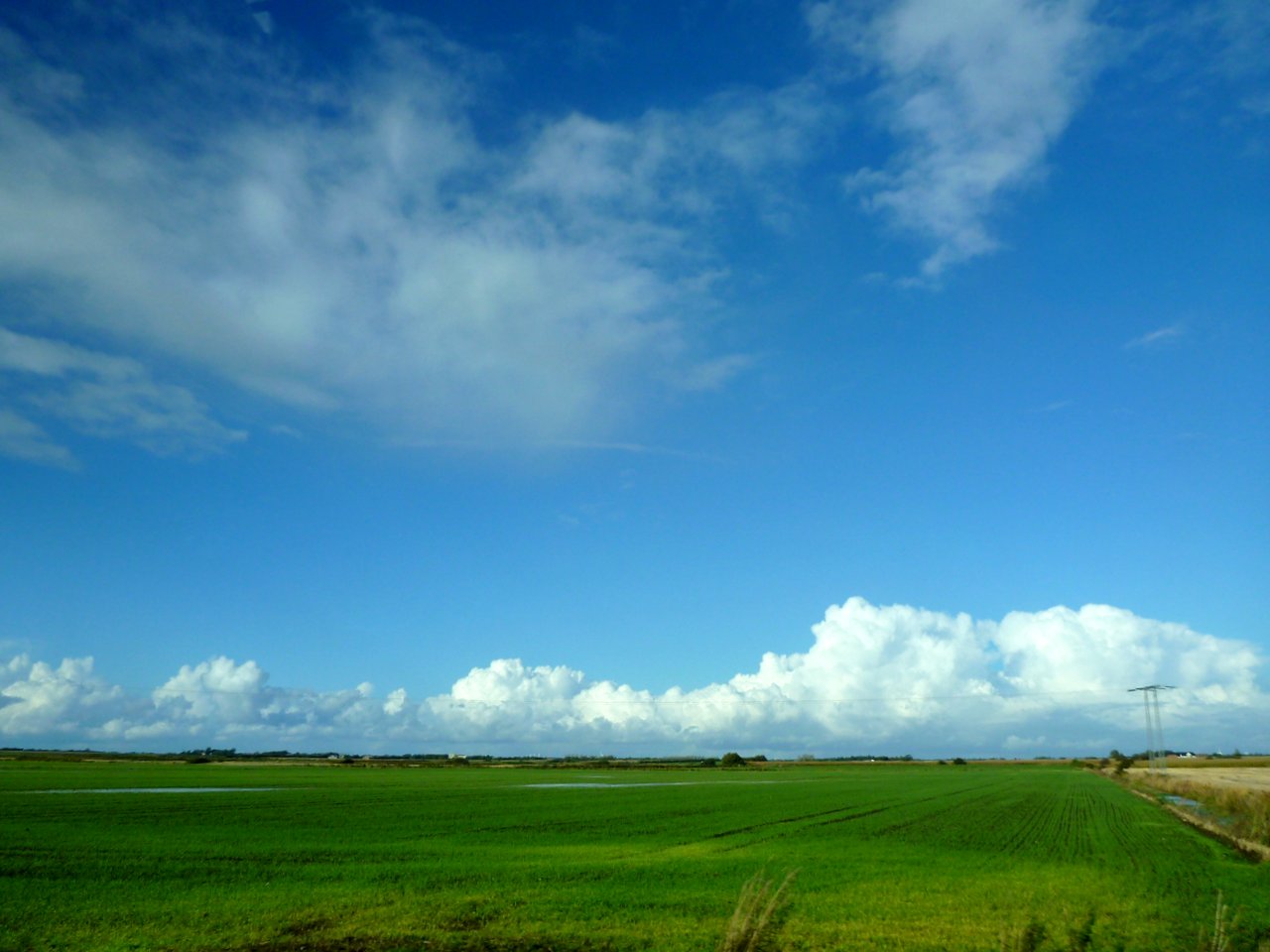 Grün und Blau